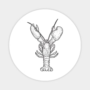 Lobster illustration Magnet